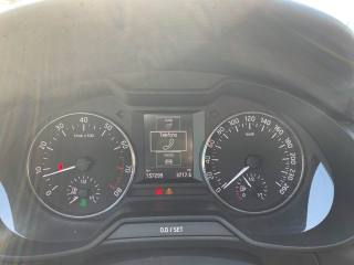 SKODA Octavia usata, con Fendinebbia