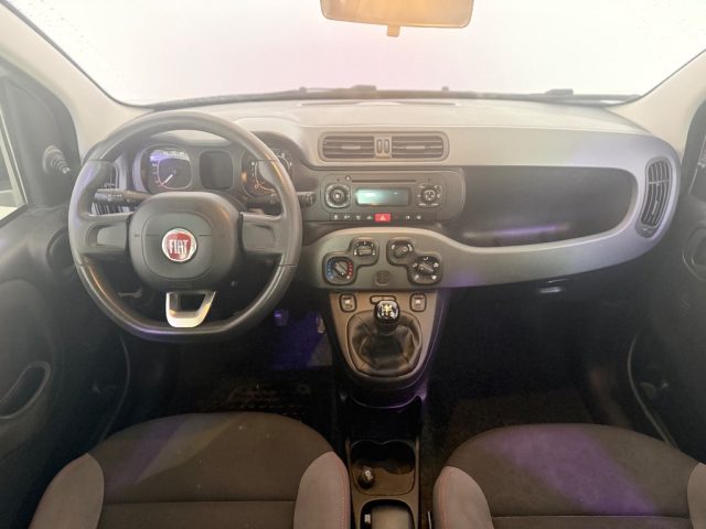 FIAT Panda usata 12