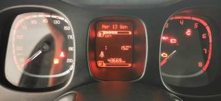 FIAT Panda usata, con Servosterzo