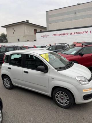 FIAT Panda usata 20