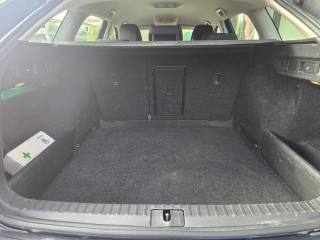 SKODA Octavia usata 88