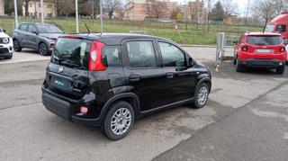 FIAT Panda usata, con Airbag testa