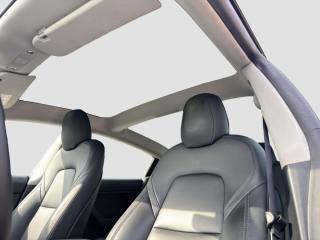 TESLA Model 3 usata 14