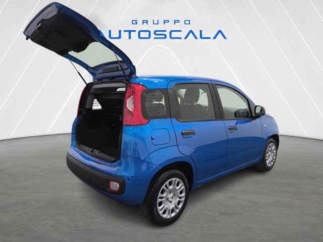 FIAT New Panda usata, con Volante multifunzione