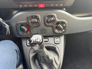 FIAT Panda usata, con Controllo trazione