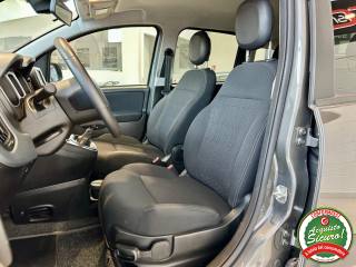 FIAT Panda usata, con Climatizzatore