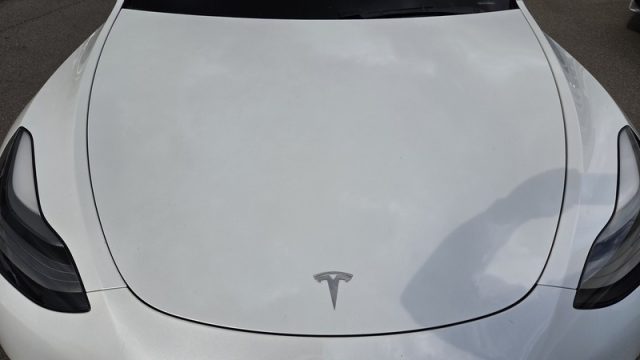 TESLA Model Y usata, con Cronologia tagliandi