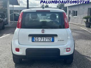 FIAT Panda usata, con Climatizzatore