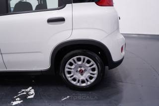 FIAT New Panda usata 25