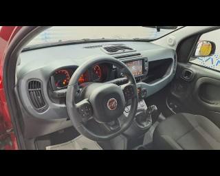 FIAT New Panda usata, con Fendinebbia