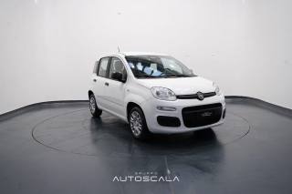 FIAT New Panda usata, con ESP