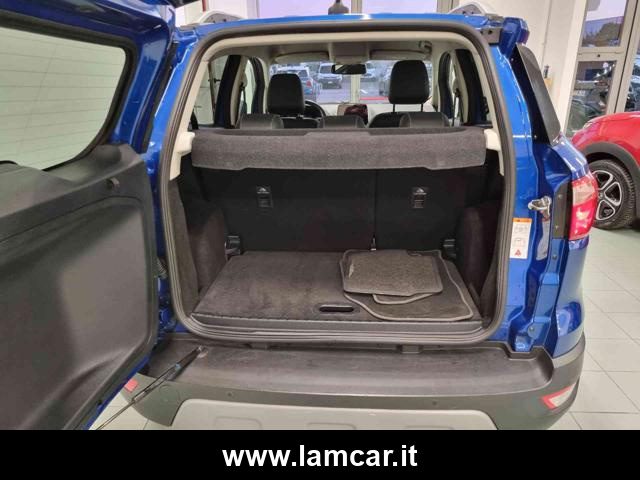 FORD EcoSport usata, con Cronologia tagliandi