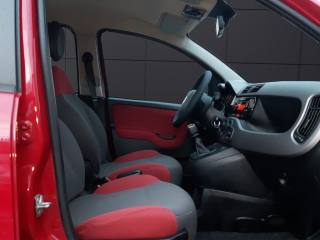 FIAT Panda usata, con Volante multifunzione