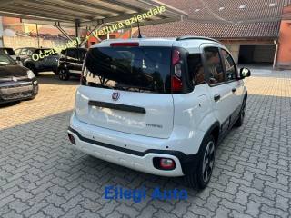 FIAT Pandina usata, con Alzacristalli elettrici