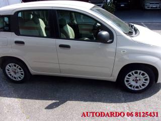 FIAT Panda usata, con Immobilizzatore elettronico
