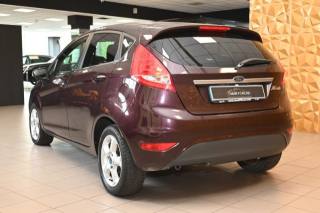 FORD Fiesta usata 60