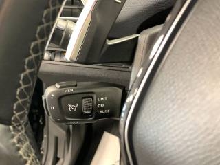 PEUGEOT 3008 usata, con Autoradio digitale