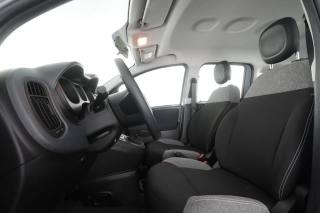 FIAT Panda usata 2