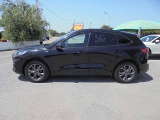FORD Kuga usata, con Fendinebbia
