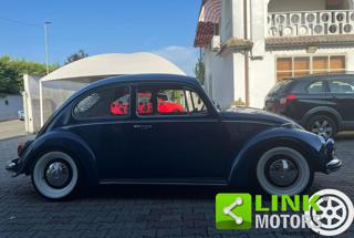 VOLKSWAGEN Maggiolino usata 9