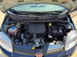 FIAT Panda usata, con Servosterzo