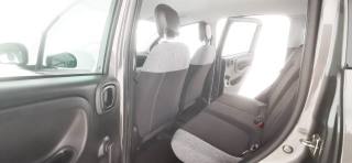 FIAT Panda usata 33