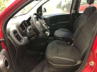FIAT Panda usata, con Servosterzo