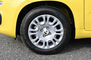 FIAT Panda usata, con Cruise Control