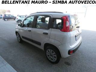 FIAT Panda usata, con Chiusura centralizzata