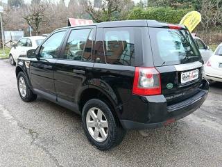LAND ROVER Freelander usata, con Fendinebbia