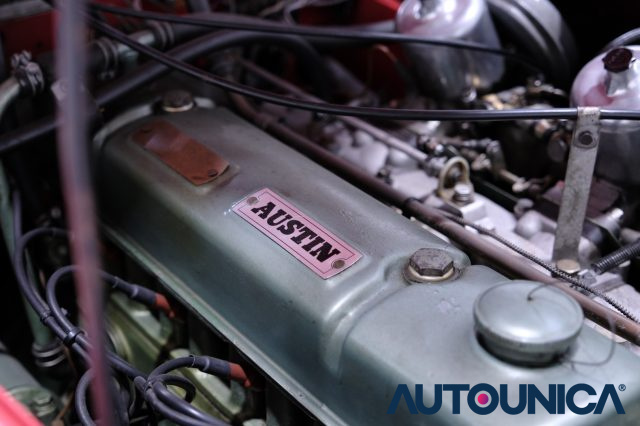 AUSTIN Healey usata 56