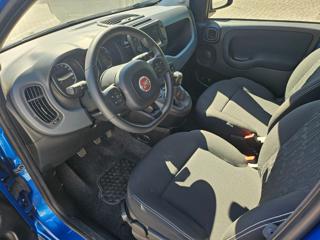 FIAT Panda usata, con Climatizzatore