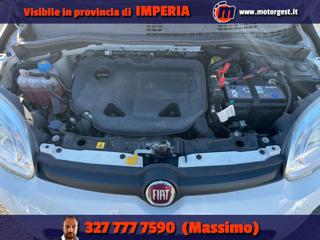 FIAT Panda usata, con Fendinebbia
