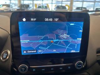 FORD EcoSport usata, con Servosterzo