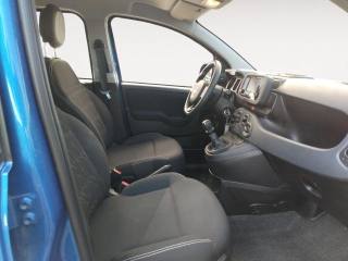 FIAT Panda usata, con Airbag testa