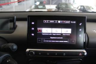 CITROEN C4 Cactus usata, con Cruise Control