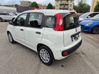 FIAT Panda usata, con Antifurto