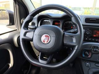 FIAT Panda usata 10