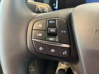 FORD Tourneo Courier usata, con ESP
