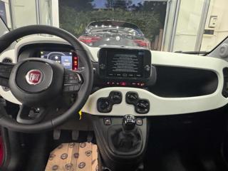 FIAT Panda usata, con Fendinebbia