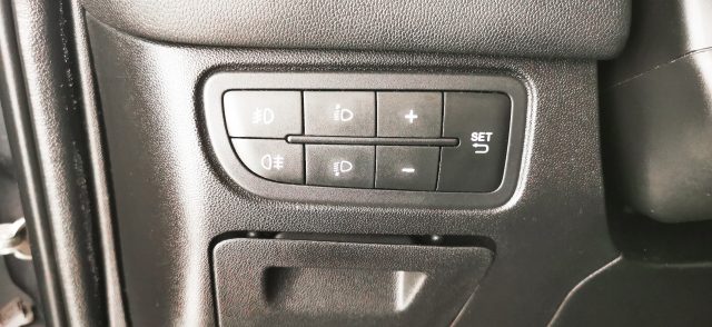 FIAT Punto usata 42