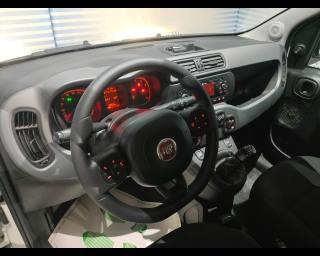 FIAT New Panda usata, con Controllo automatico clima