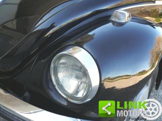 VOLKSWAGEN Maggiolone usata 32