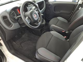 FIAT Panda usata, con Servosterzo