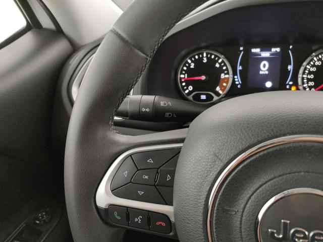 JEEP Renegade usata, con Volante in pelle