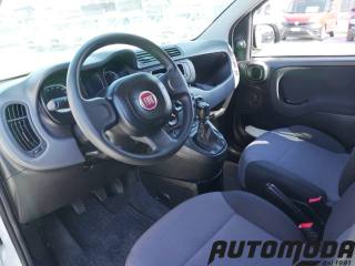 FIAT Panda usata 8