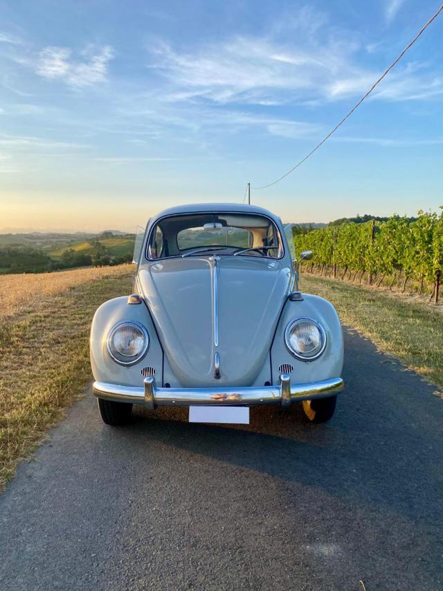 VOLKSWAGEN Maggiolino usata 6