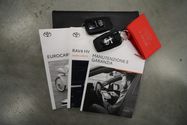 TOYOTA RAV 4 usata, con Sistema di navigazione