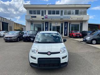 FIAT Panda usata, con Airbag