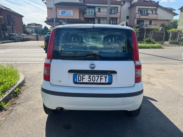 FIAT Panda usata 2
